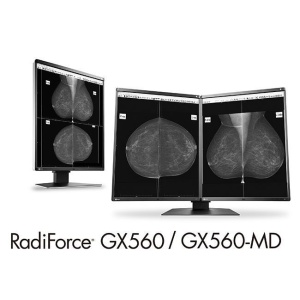 Monitor Radiforce GX 560 Escala de Grises