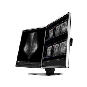 Monitor de Diagnóstico Eizo Radiforce RX560 Color